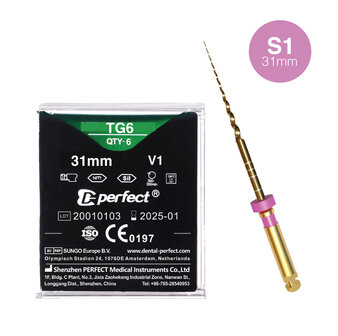 TG6 vijl S1 31mm 