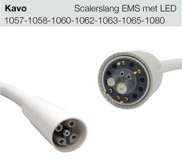 Kavo scalerslang (EMS LED)