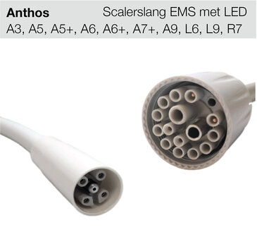 Anthos scalerslang (EMS LED)